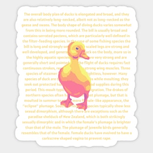 Duck Info Sticker